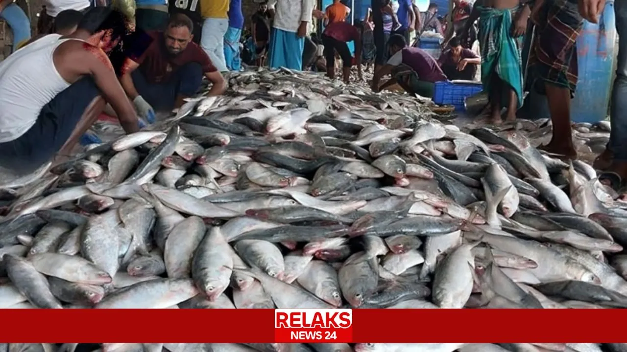 ভারতে ইলিশ রফতানির নতুন সিদ্ধান্ত: অনুমোদিত পরিমাণ ৩ হাজার থেকে কমিয়ে ২ হাজার ৪২০ টন