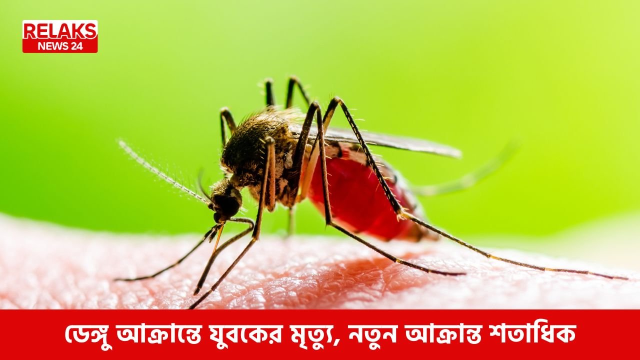 ডেঙ্গু আক্রান্তে যুবকের মৃত্যু, নতুন আক্রান্ত শতাধিক