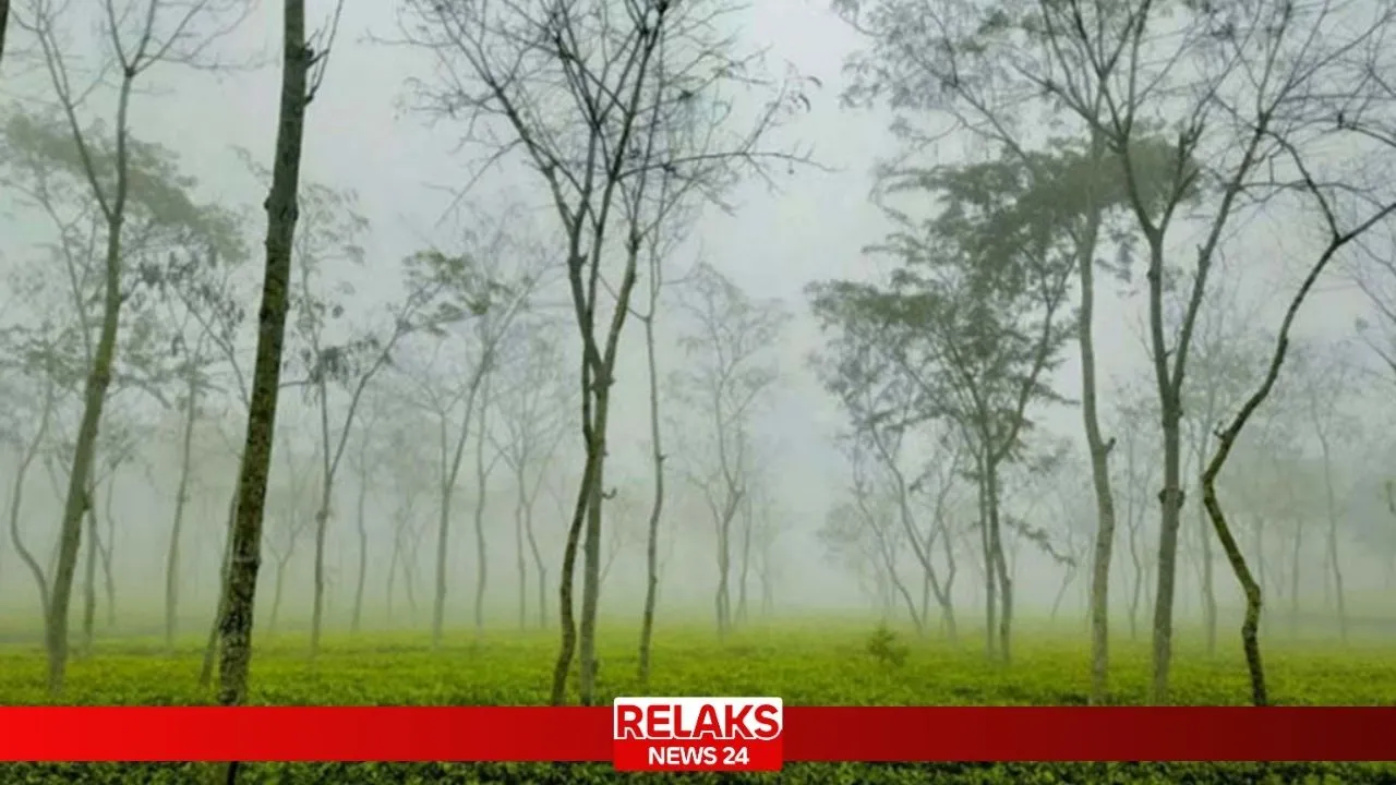 শ্রীমঙ্গলে দেশের সর্বনিম্ন তাপমাত্রা